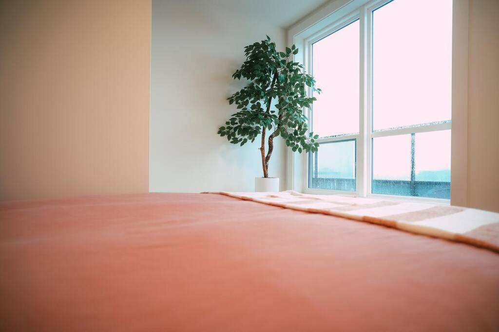 Chic Cozy Retreat - 2Br - Stunning North End Views Apartment Халифакс Екстериор снимка