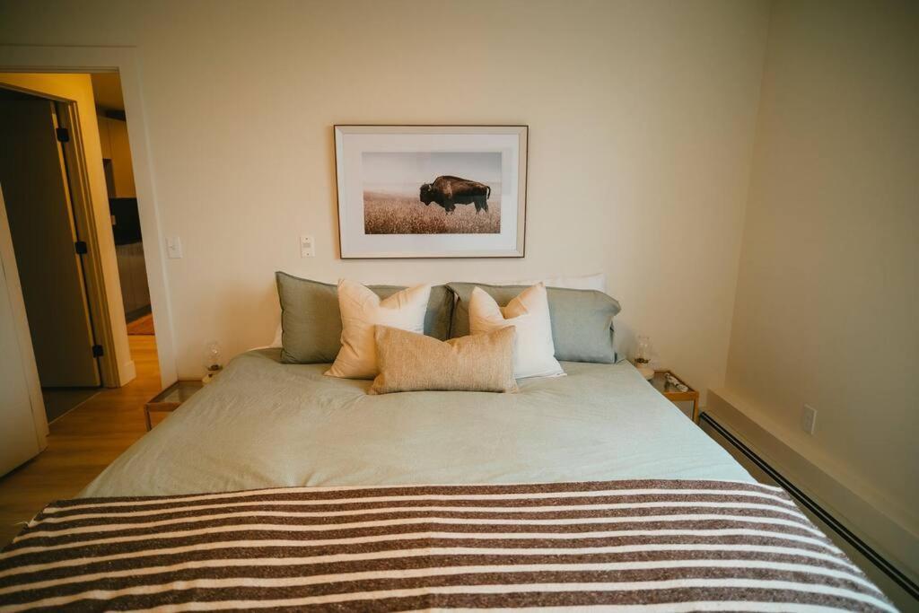 Chic Cozy Retreat - 2Br - Stunning North End Views Apartment Халифакс Екстериор снимка